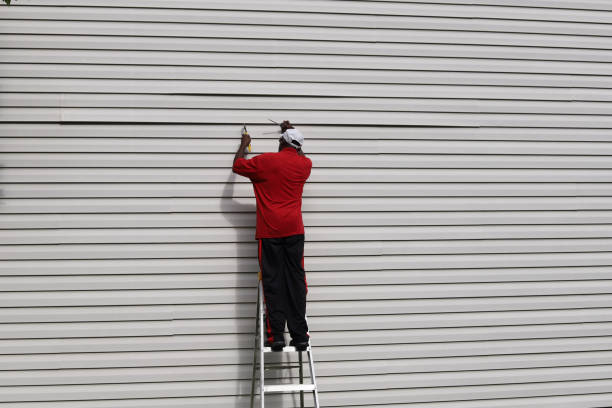 Best Custom Siding Design  in Nicholasville, KY