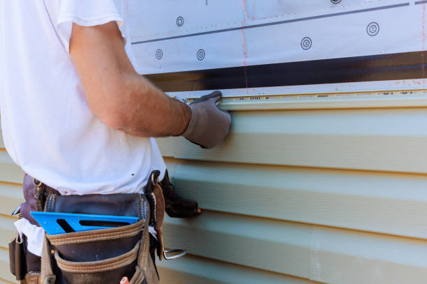 Affordable Siding Repair and Maintenance Services in Nicholasville, KY