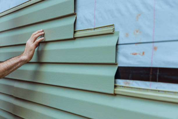 Best Vinyl Siding Installation  in Nicholasville, KY
